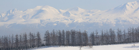 厳しい寒暖差が強くする